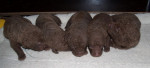 the boys 2 wkn